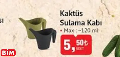 KAKTÜS SULAMA KABI KAKTÜS SULAMA KABI